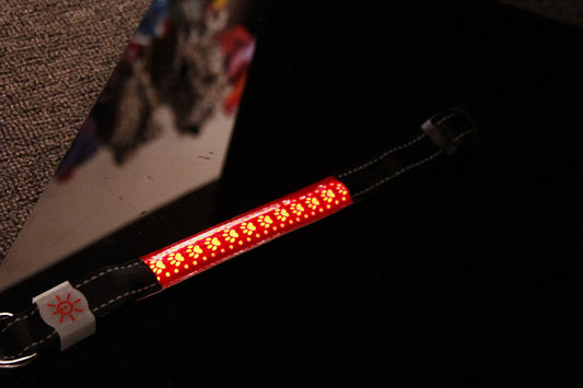 LED Light-Emitting Rechargeable Collar