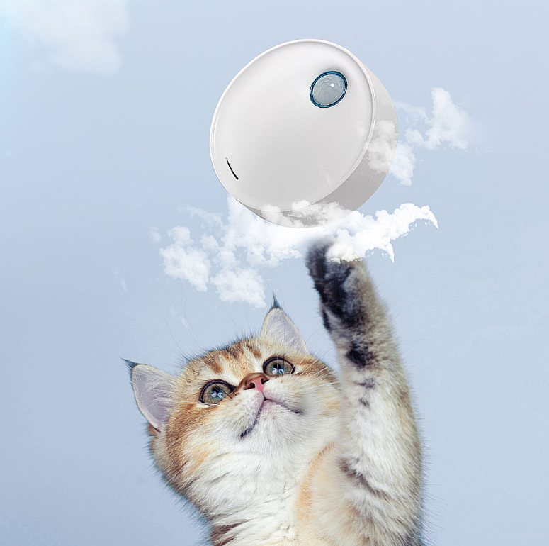 Intelligent pet deodorizer cat litter box
