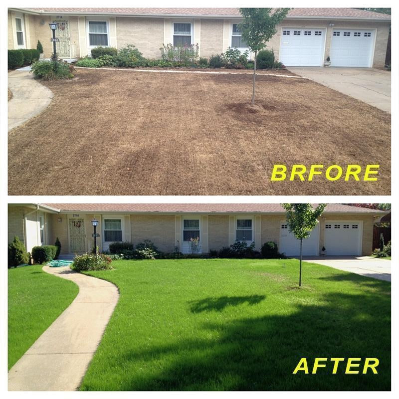 Biodegradable Grass Seed Starter Mat 3M × 0.2M