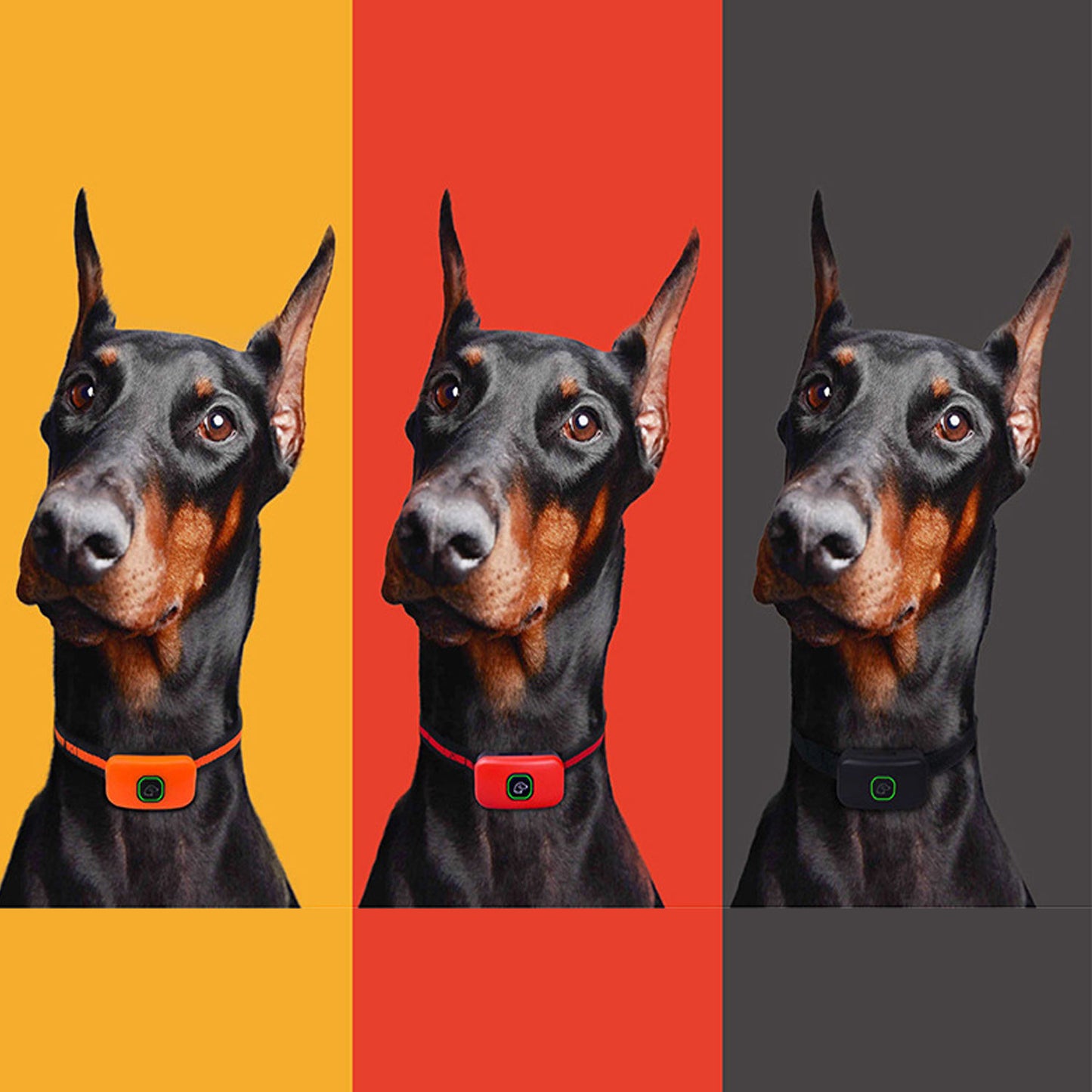 Electronic Pet Trainer Bark Collar