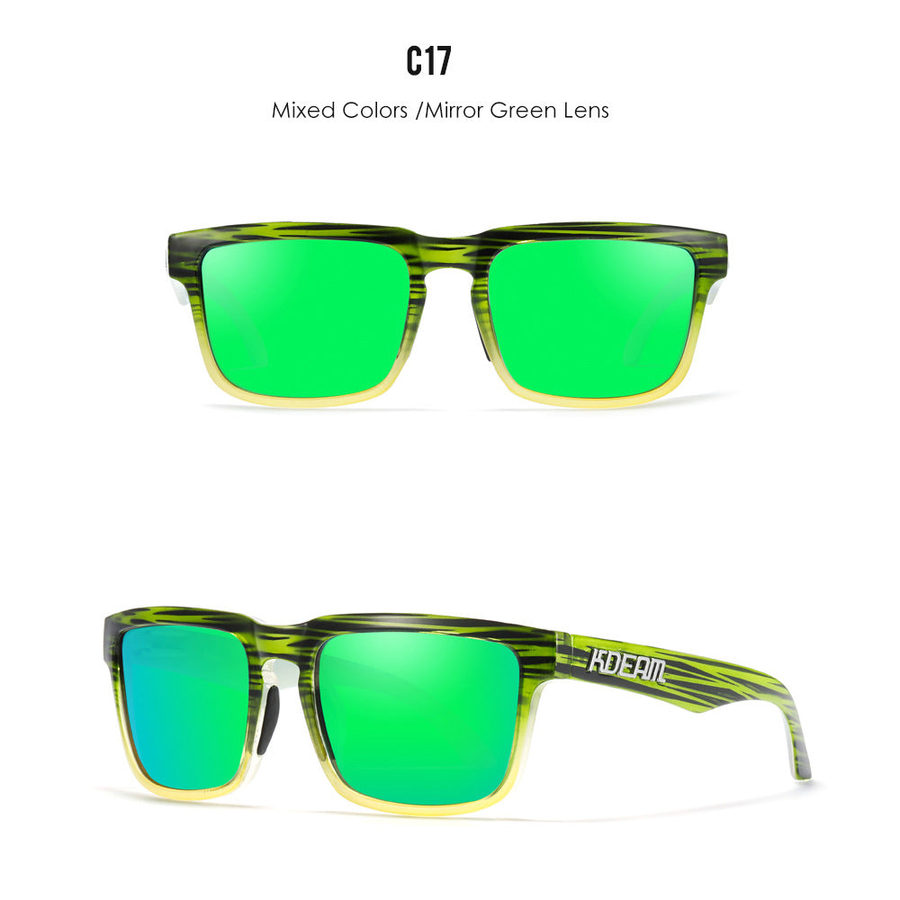 Classic polarized sunglasses