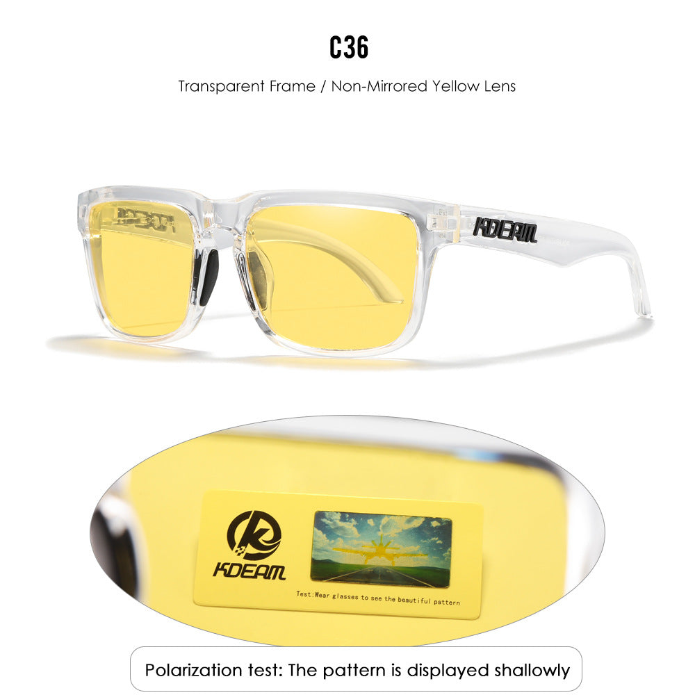 Classic polarized sunglasses