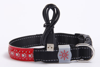 LED Light-Emitting Rechargeable Collar