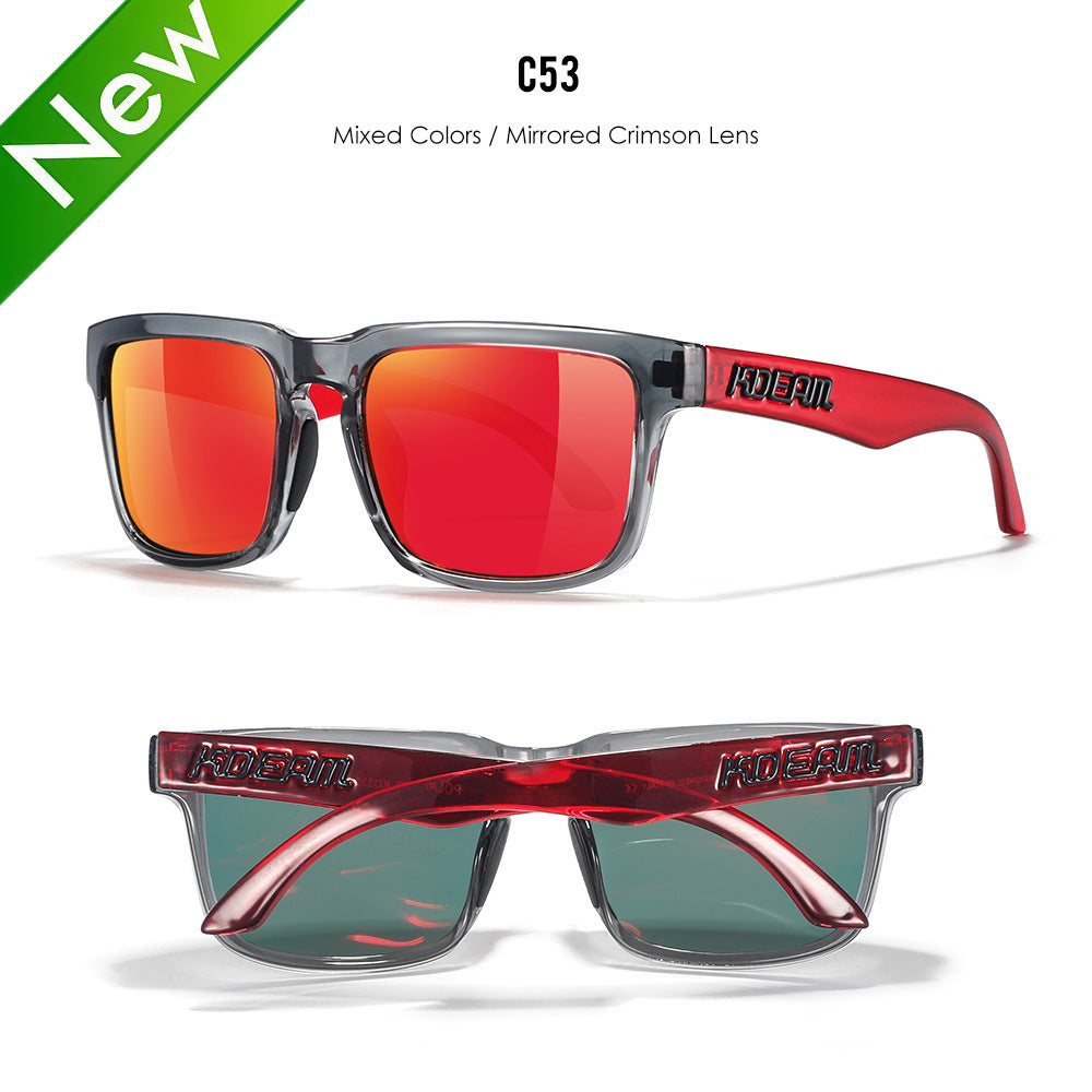 Classic polarized sunglasses