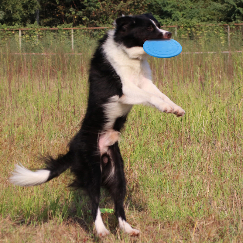 Dog Frisbee
