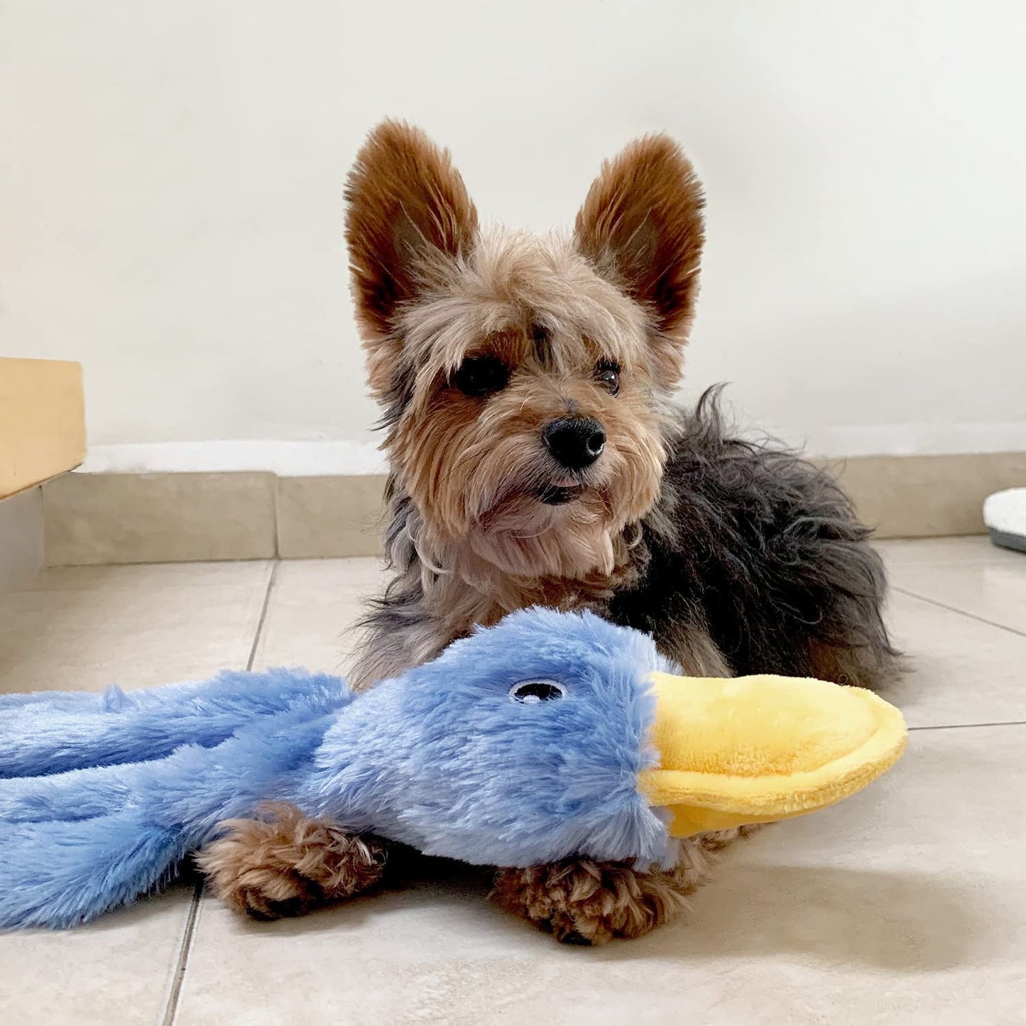 Cute Unfilled Duck Chewing Plush Toy