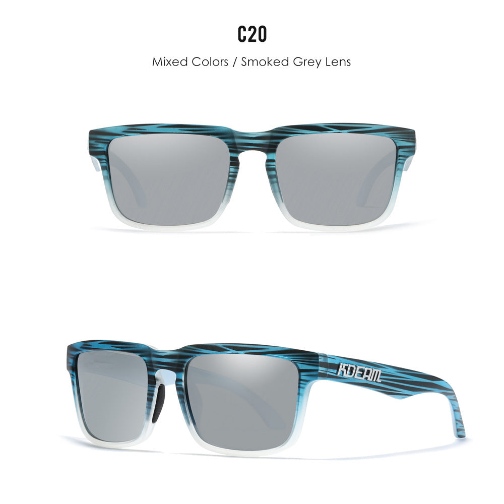 Classic polarized sunglasses