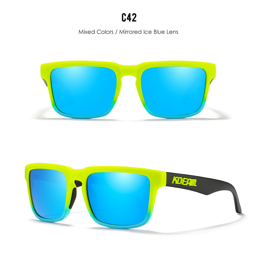 Classic polarized sunglasses