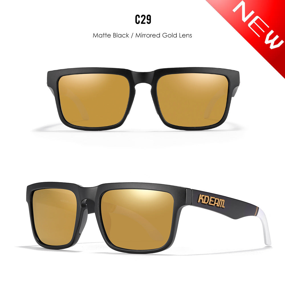 Classic polarized sunglasses