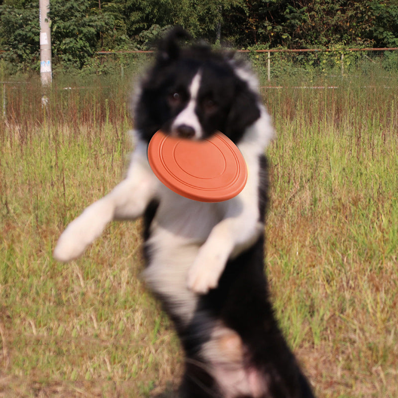 Dog Frisbee