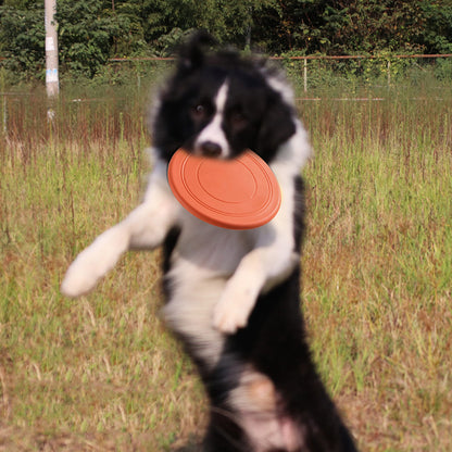 Dog Frisbee