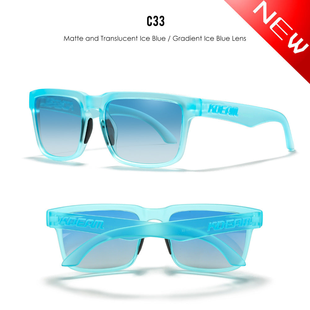 Classic polarized sunglasses