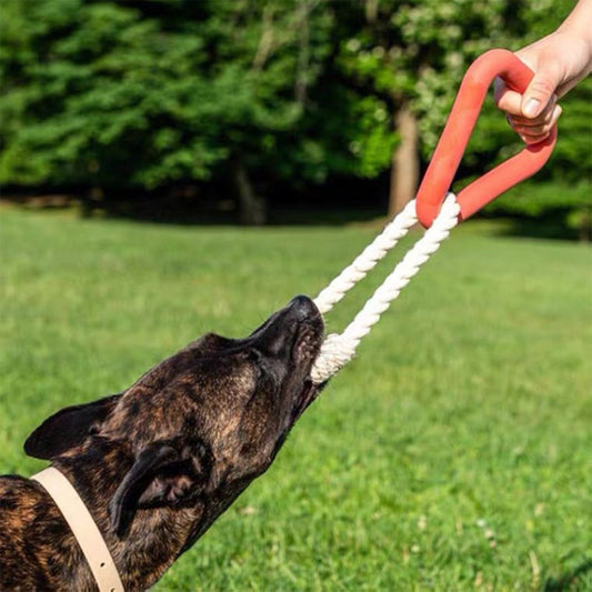 Triangle Pulling Training Interactive Toy