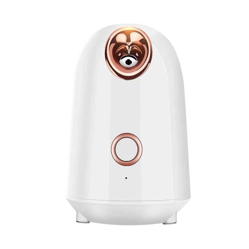 Hydrating Face Steamer