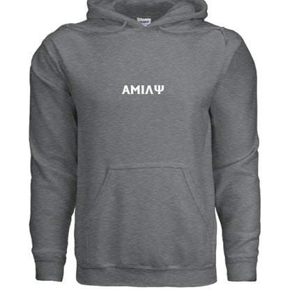 Fan Charcoal Heather - G185 - FRONT