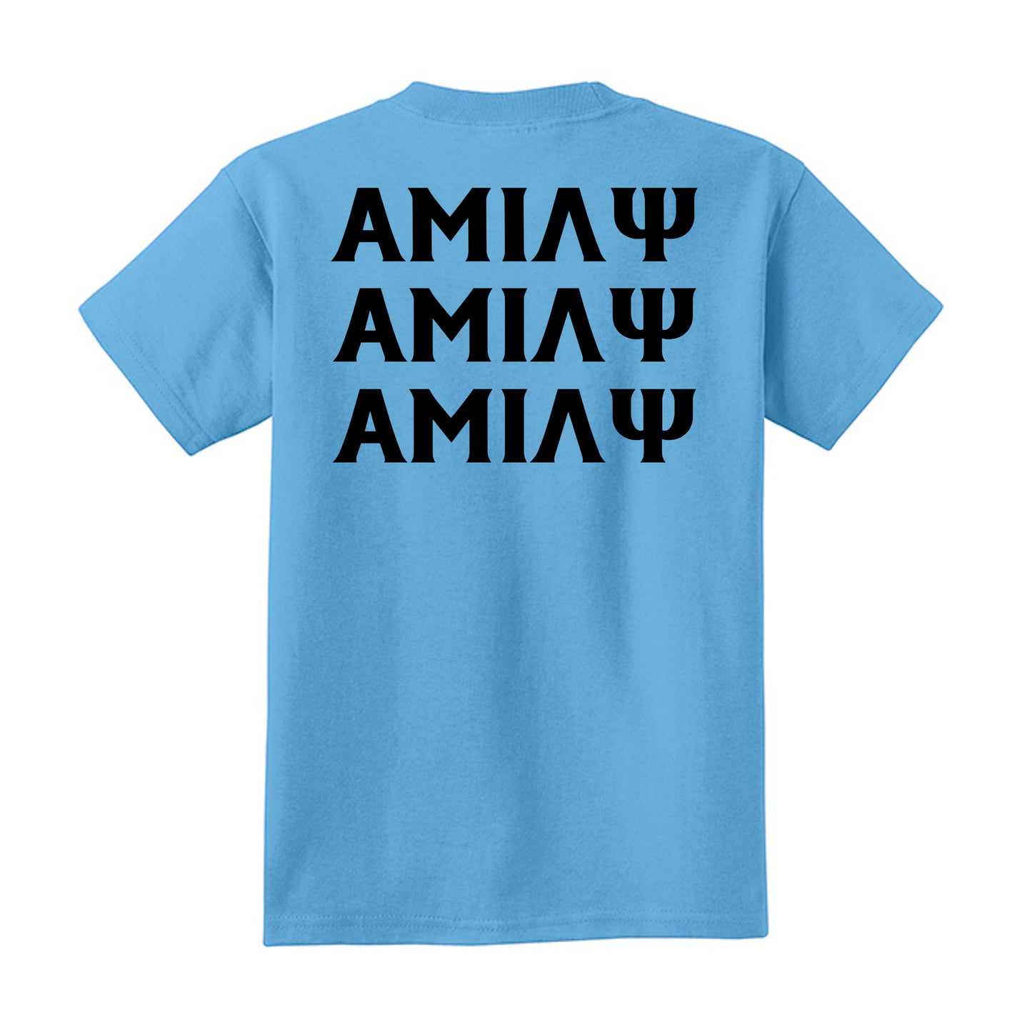 Aquatic Blue - PC54Y - BACK