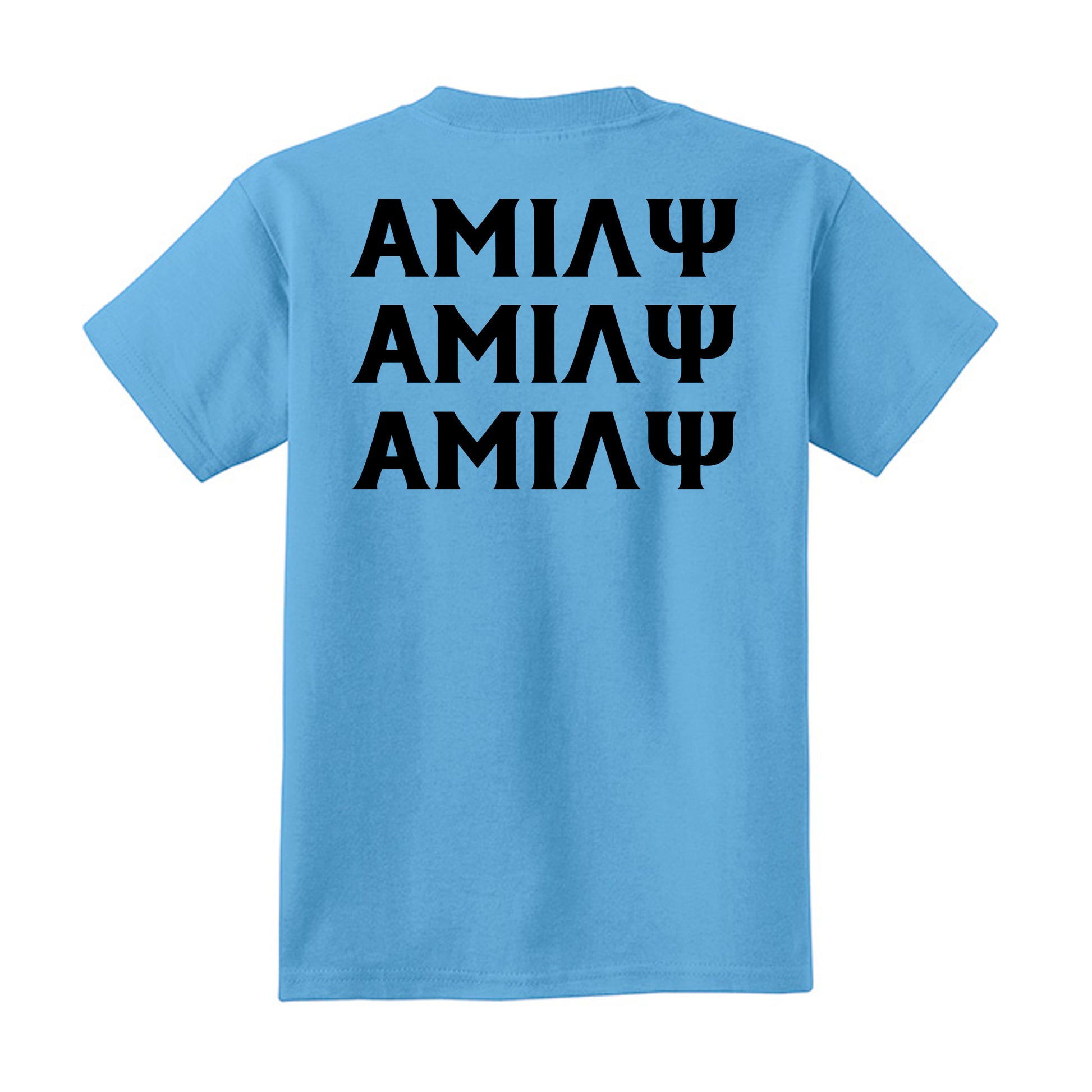 Aquatic Blue - PC54Y - BACK