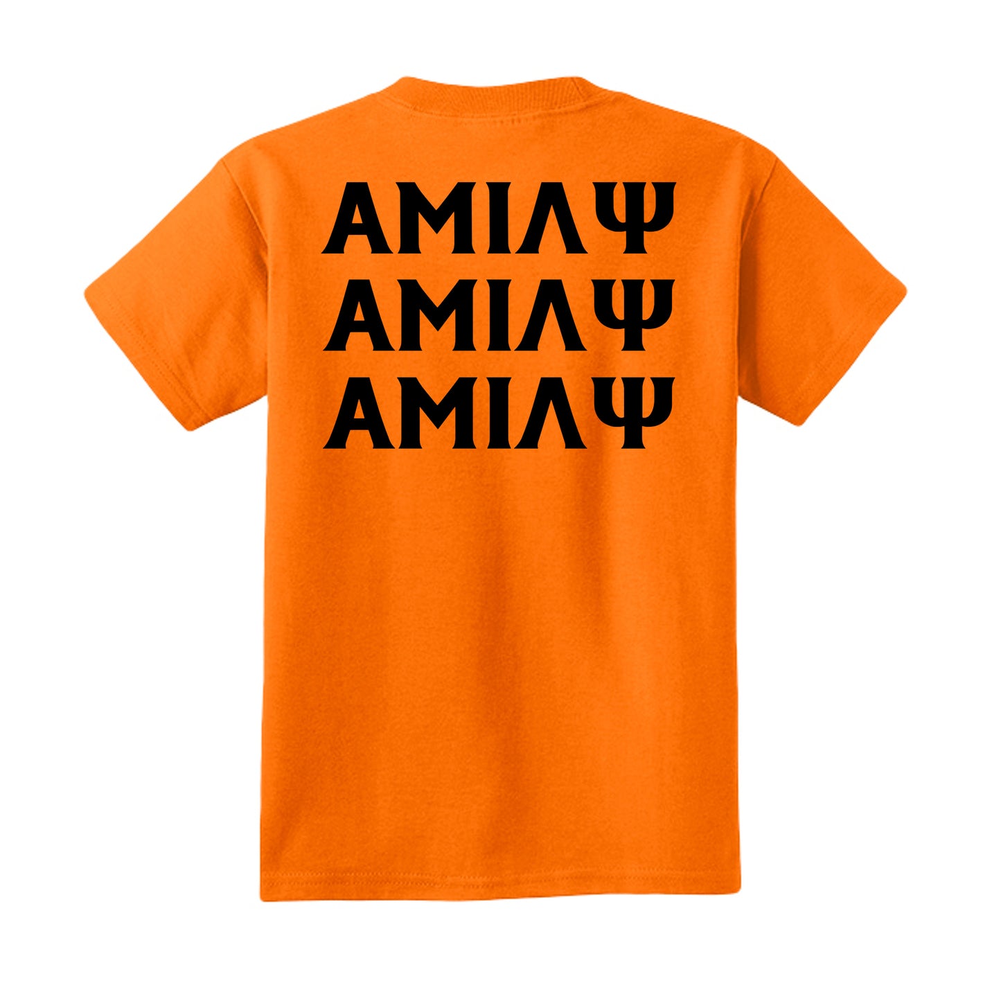 Tennessee Orange - PC54Y - BACK