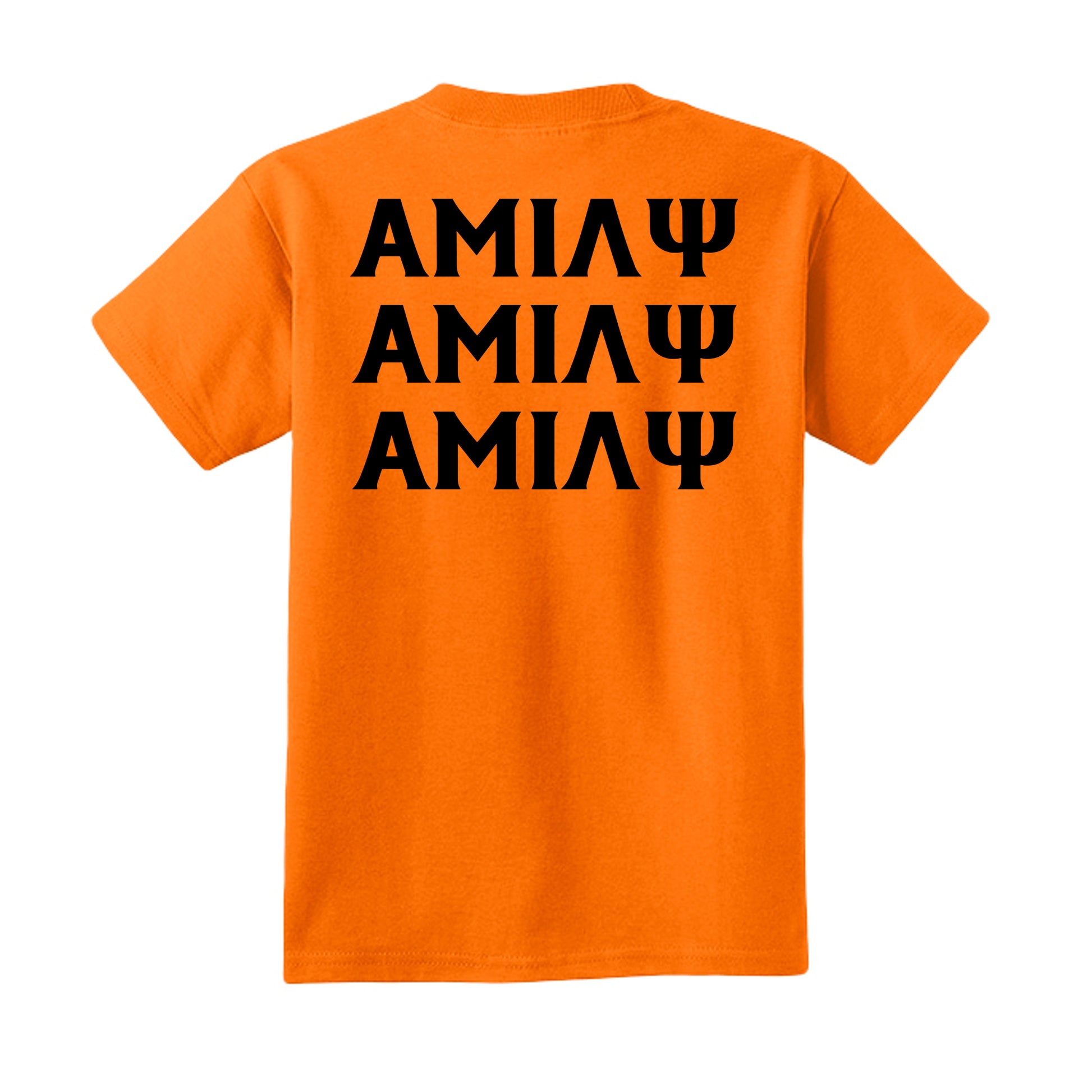 Tennessee Orange - PC54Y - BACK