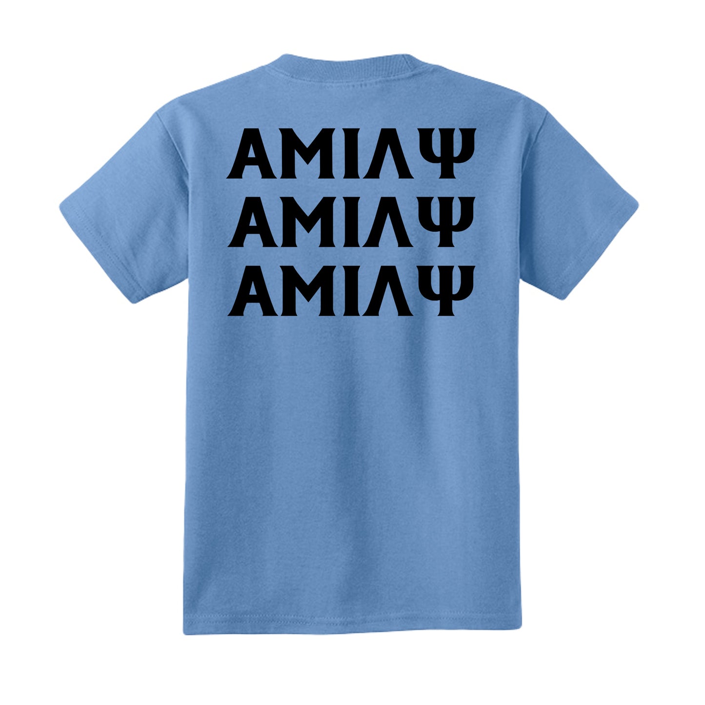 Carolina Blue - PC54Y - BACK