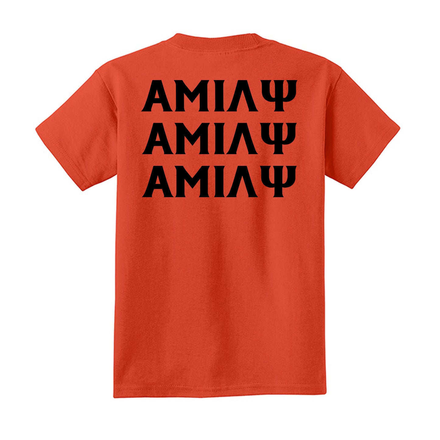 Orange - PC54Y - BACK
