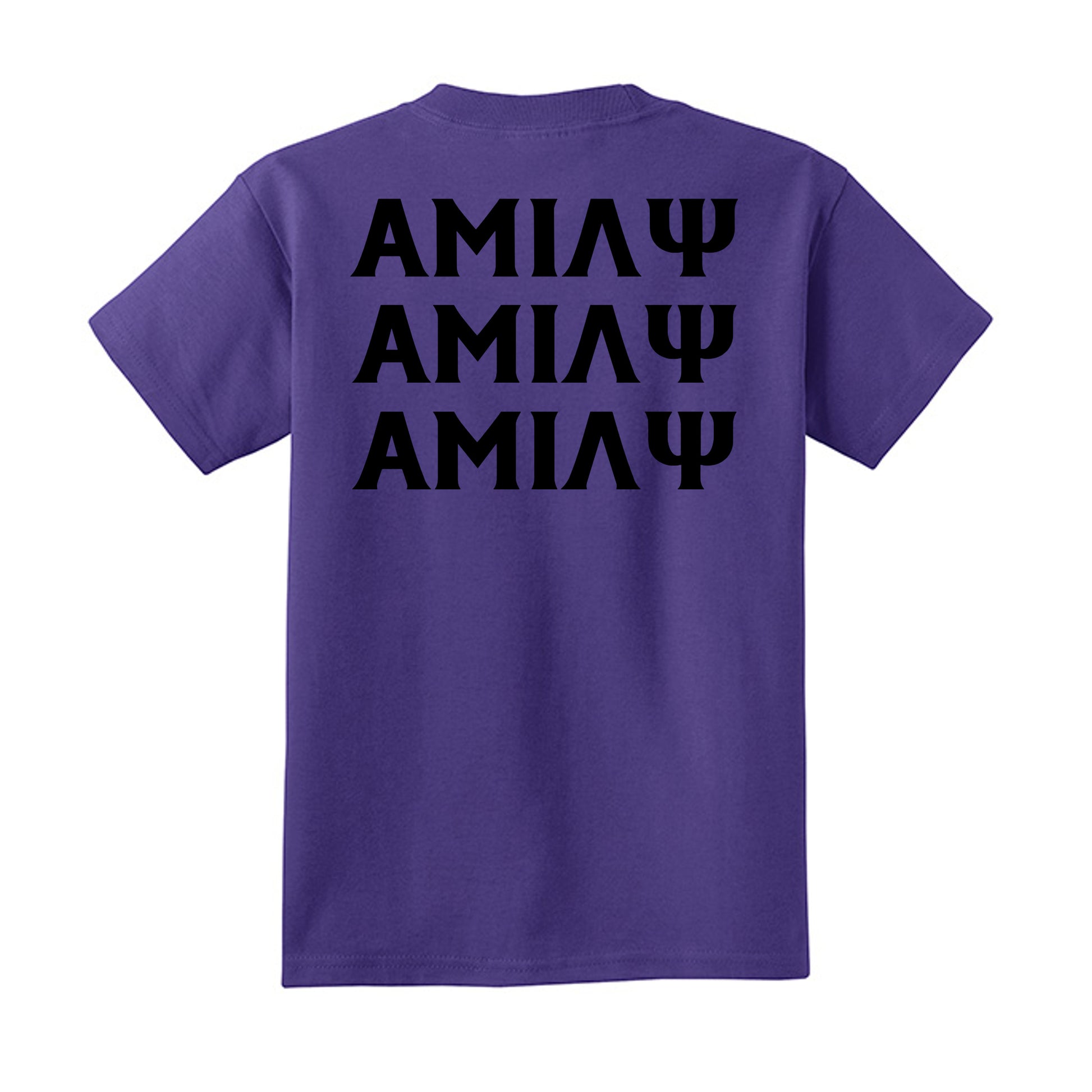 Purple - PC54Y - BACK