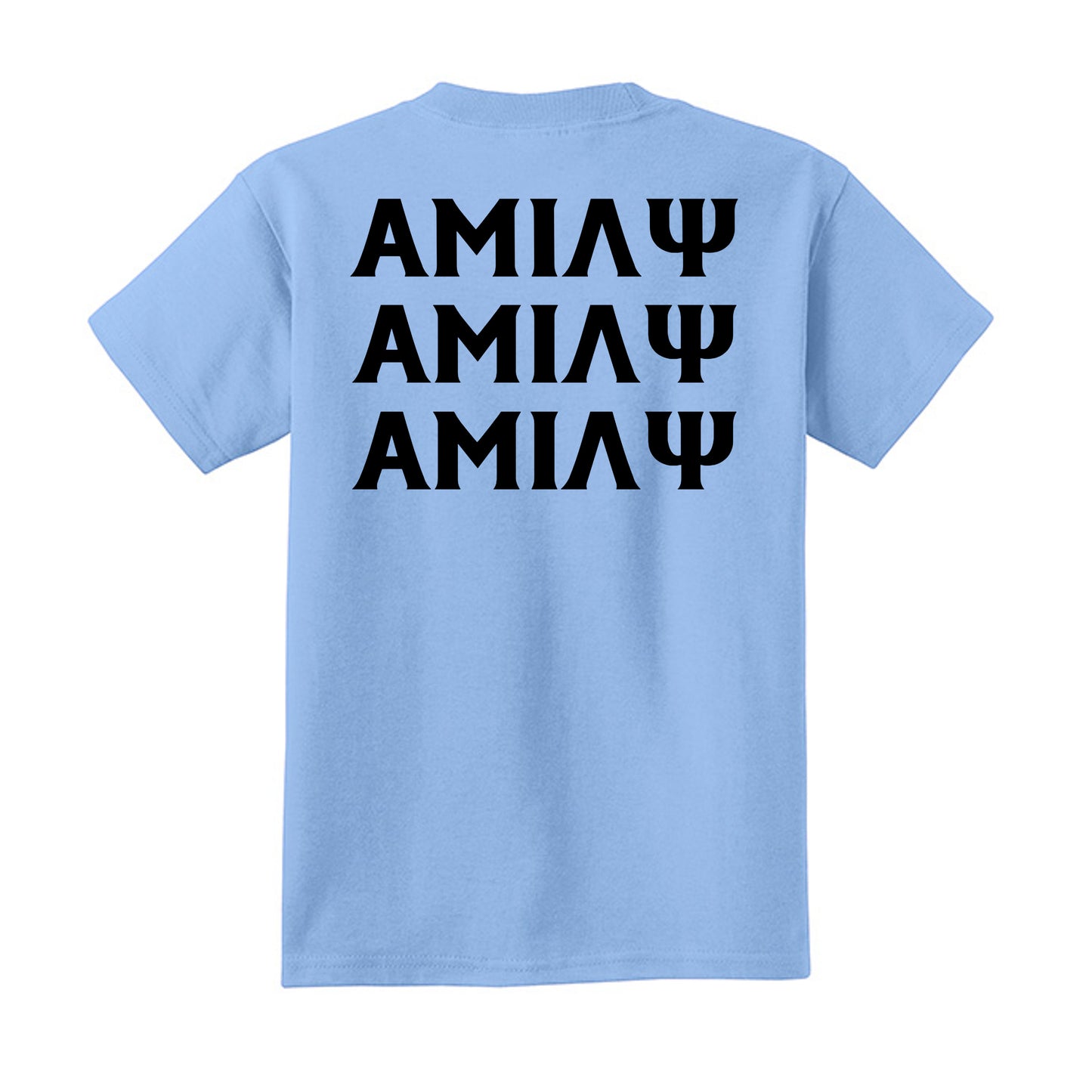 Light Blue - PC54Y - BACK