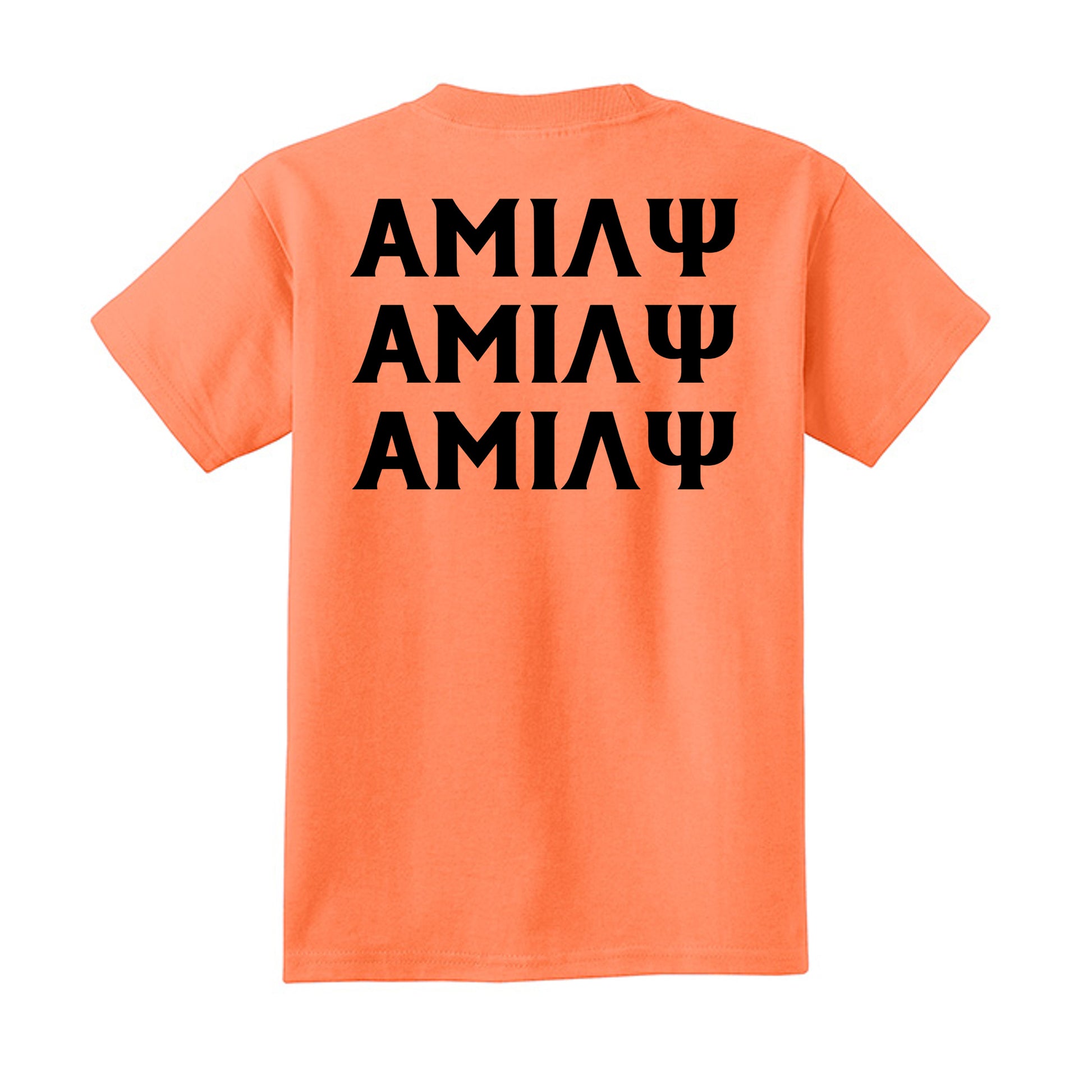 Neon Orange - PC54Y - BACK