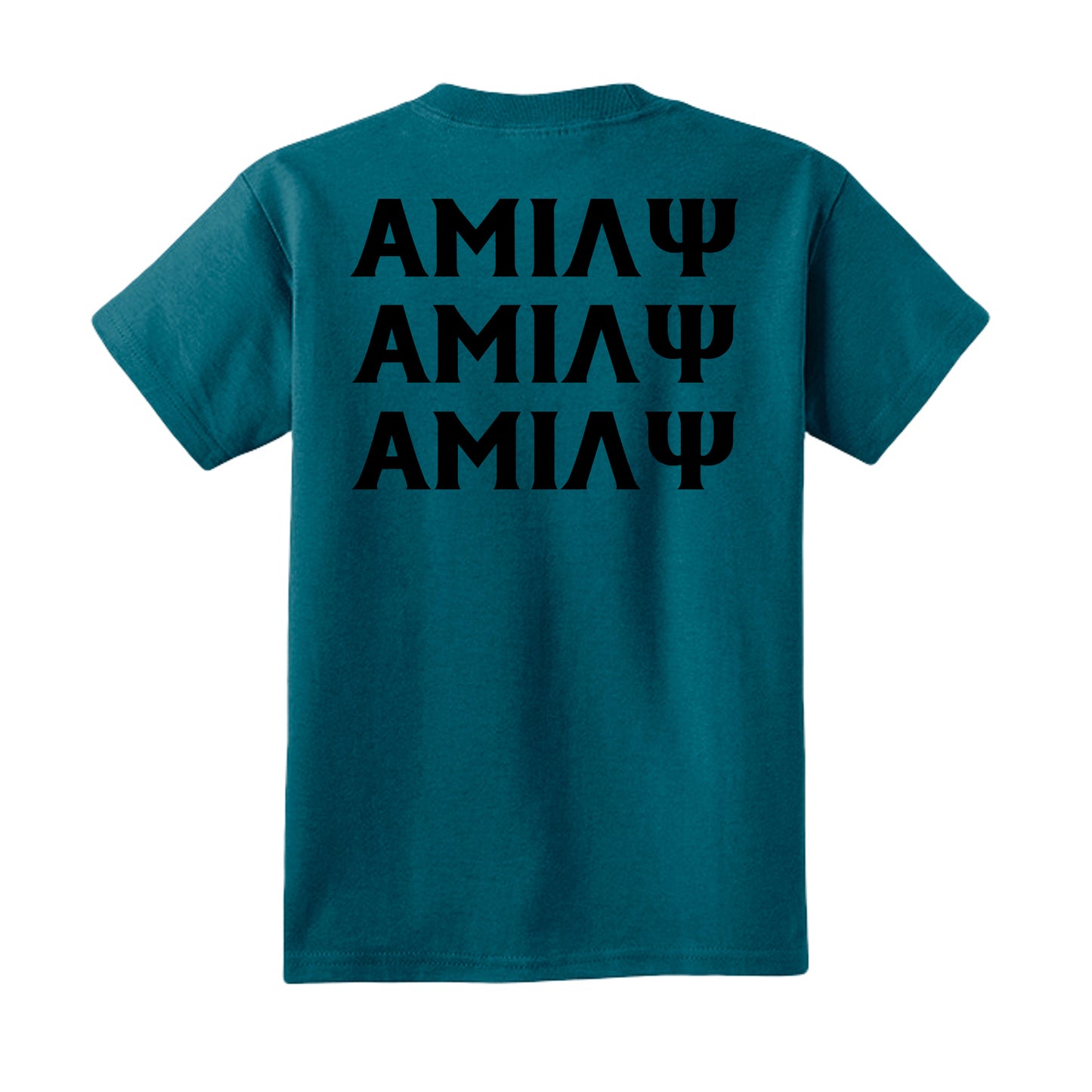 Teal - PC54Y - BACK
