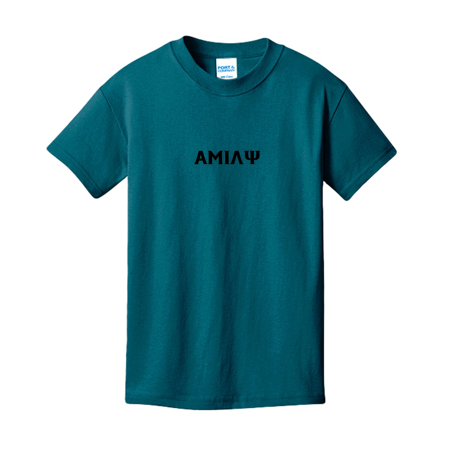Teal - PC54Y - FRONT